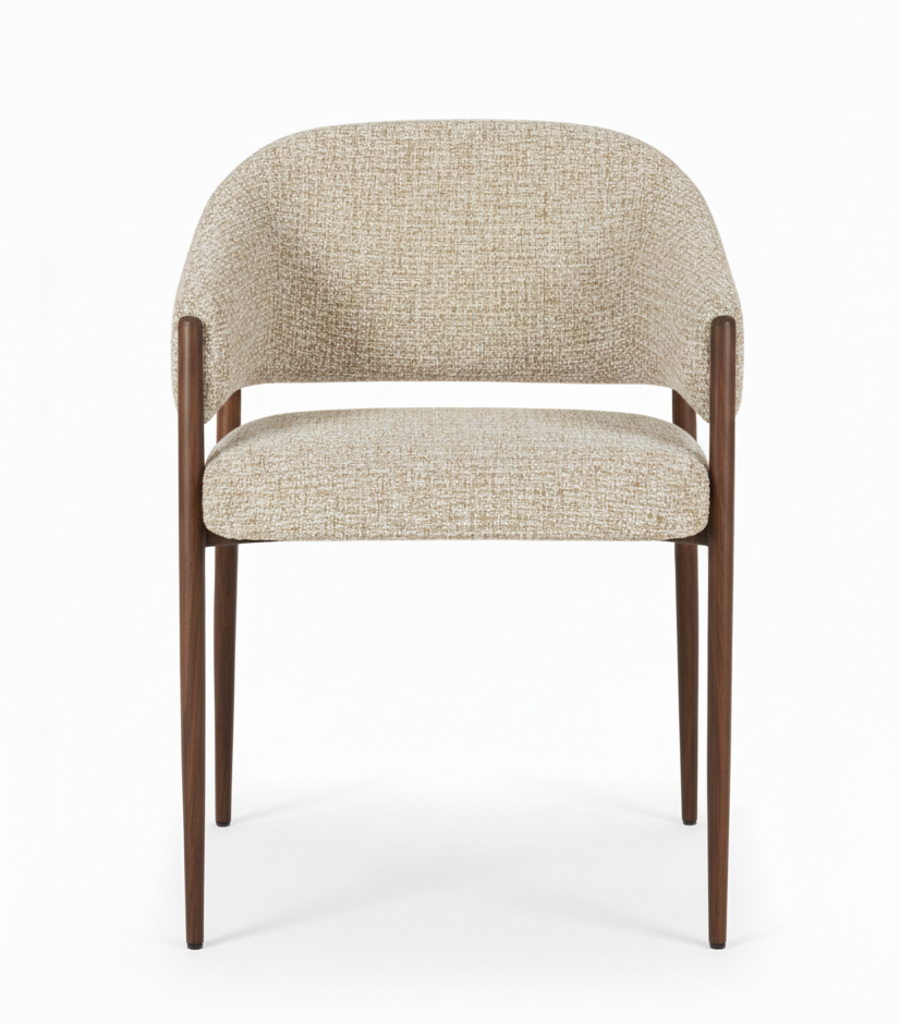 Aura Modern Nordic Dining Chair